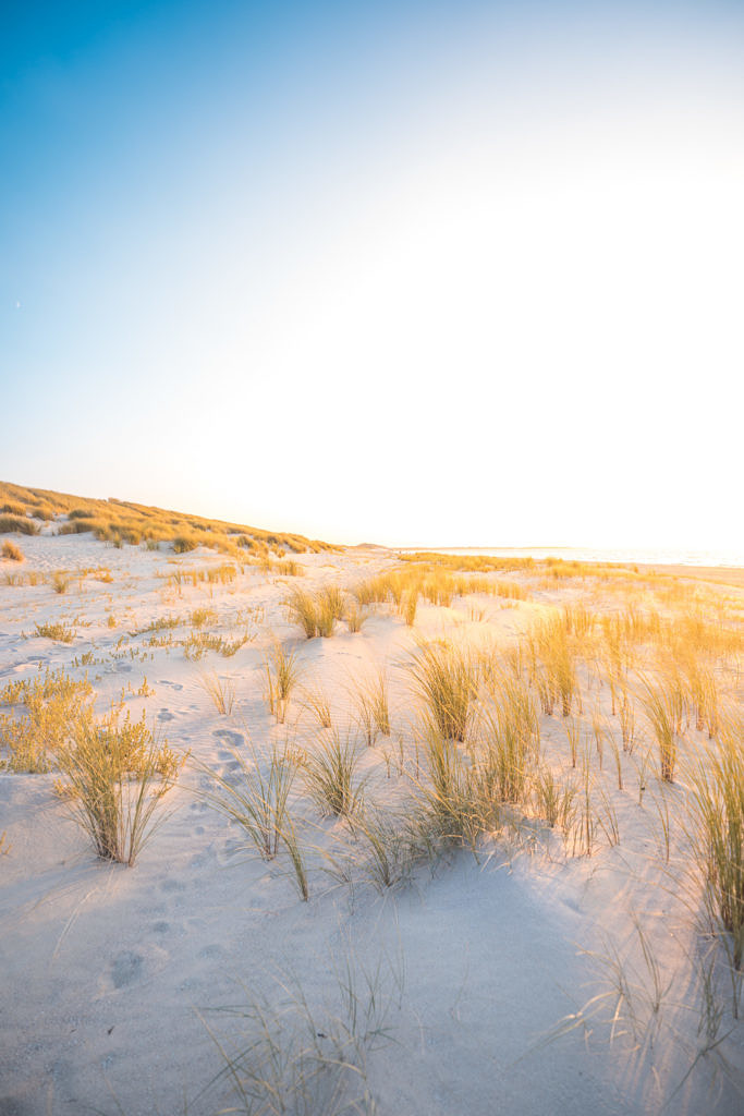 Veersedam dunes sunset