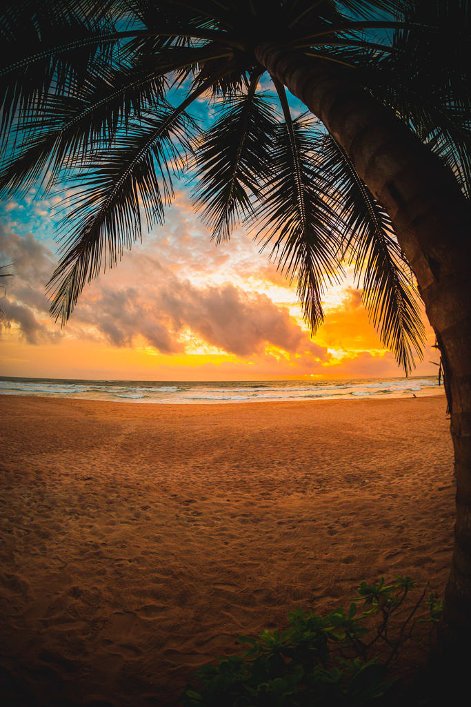Sunset at the beach