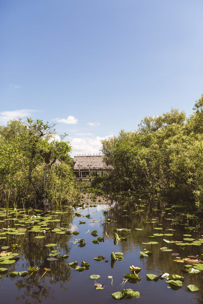 Everglades