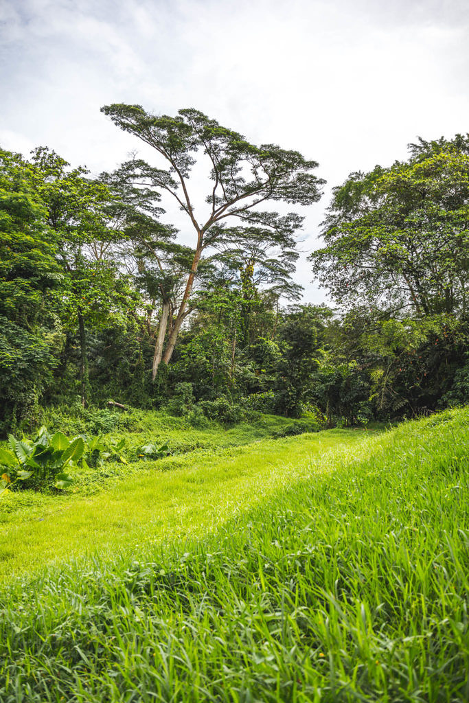 Singapore park