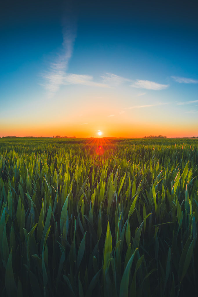 Serooskerke farm fields sunset