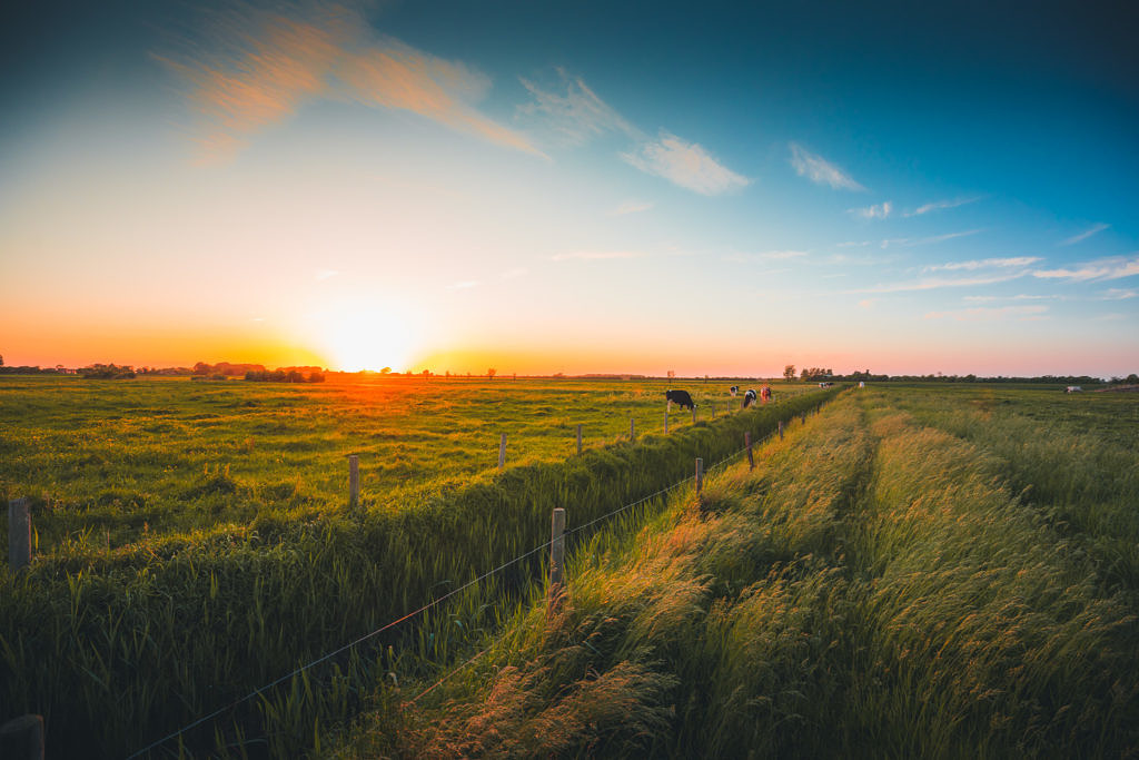 Serooskerke farm fields