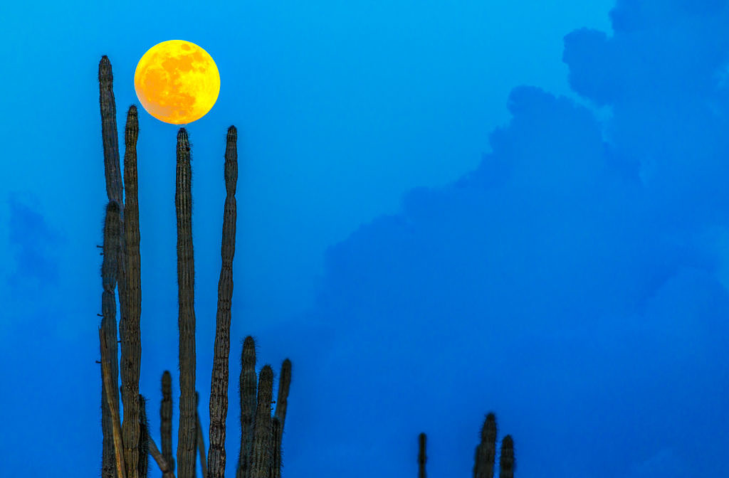 Supermoon on Bonaire