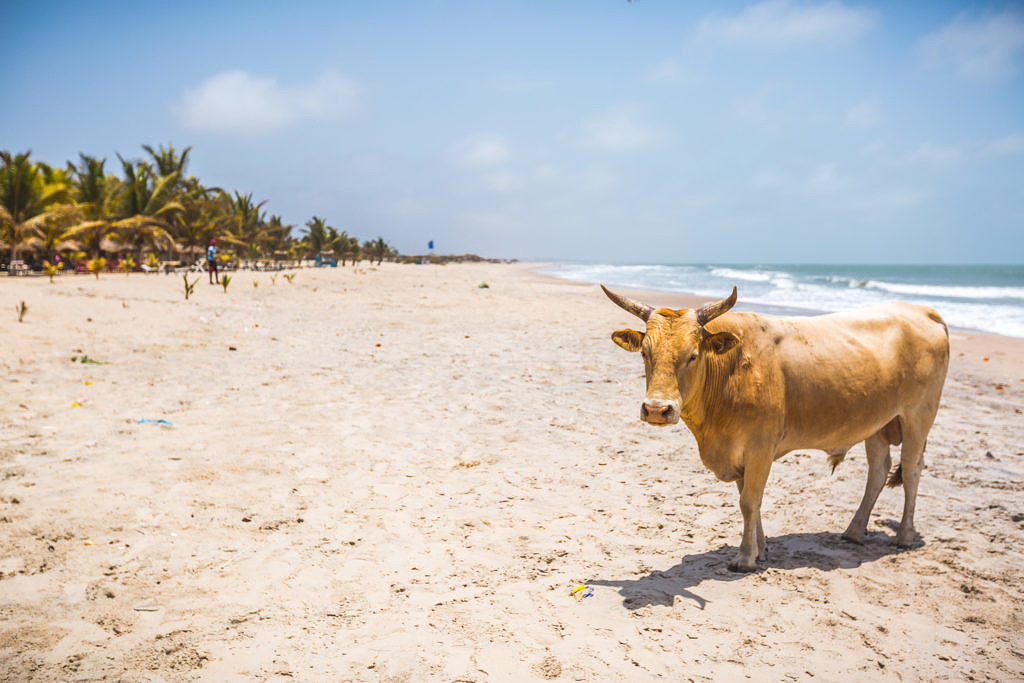 Paradise beach, Gambia