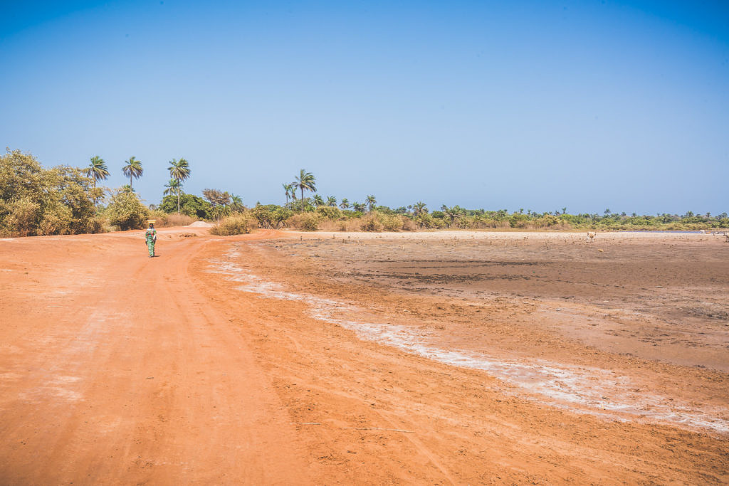 Gambia landscape