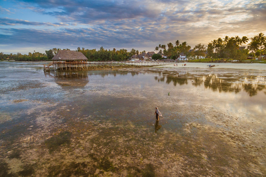 Low tide jetty