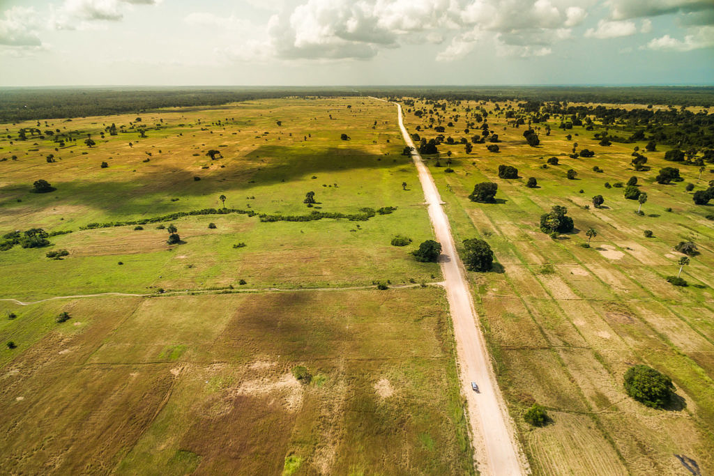 Zanzibar landscape