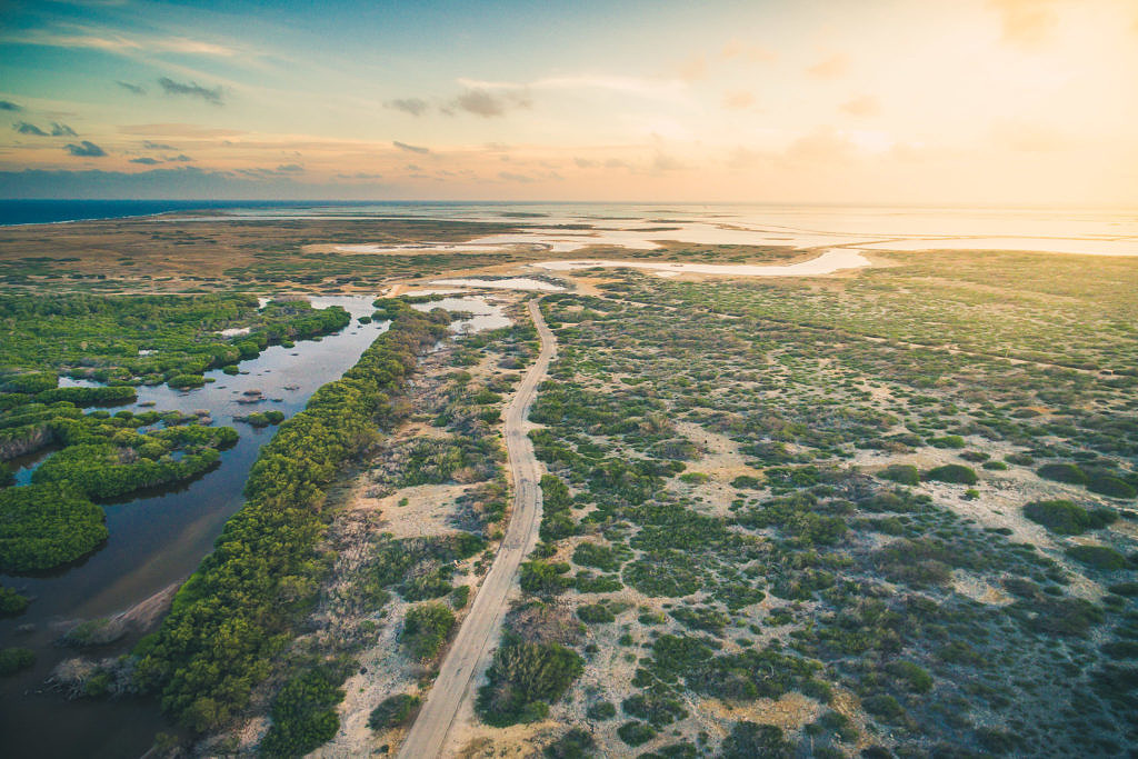 Bonaire landscape