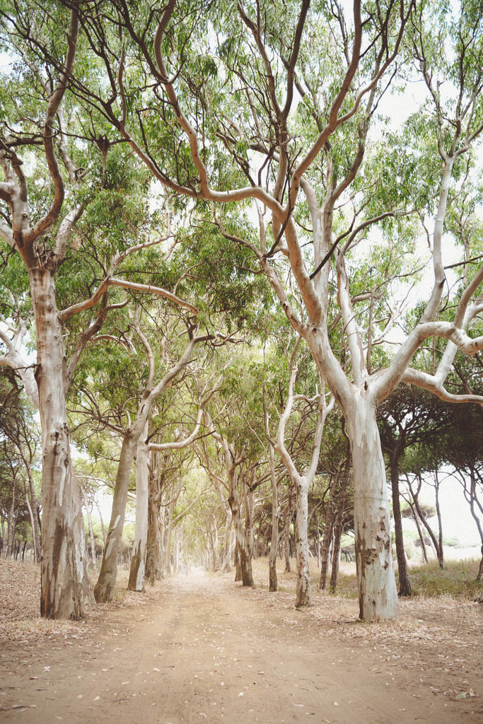 Islantilla, Andalucía
