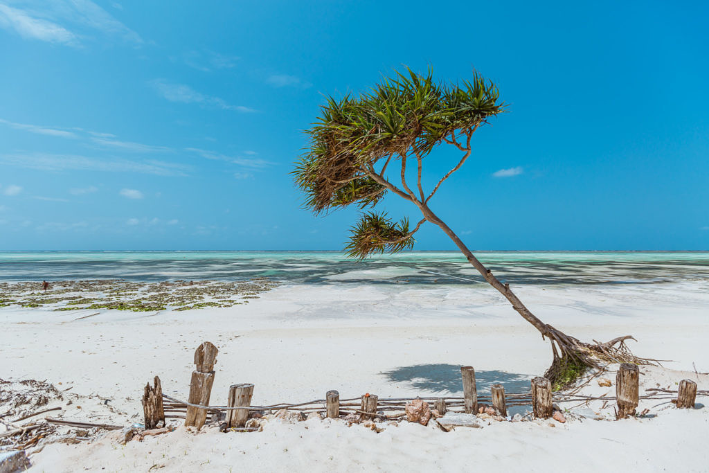 White beaches of Zanzibar