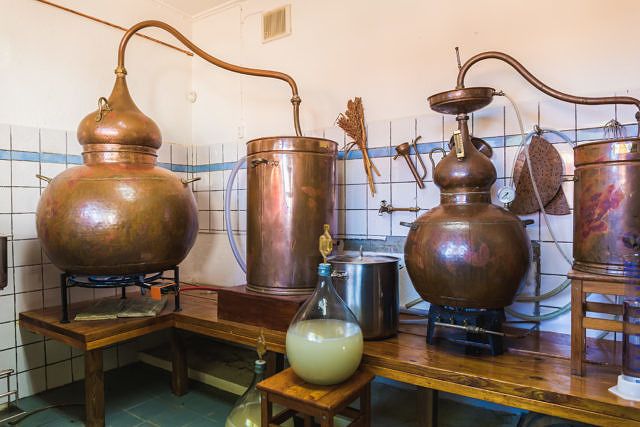 Cadushy distillery