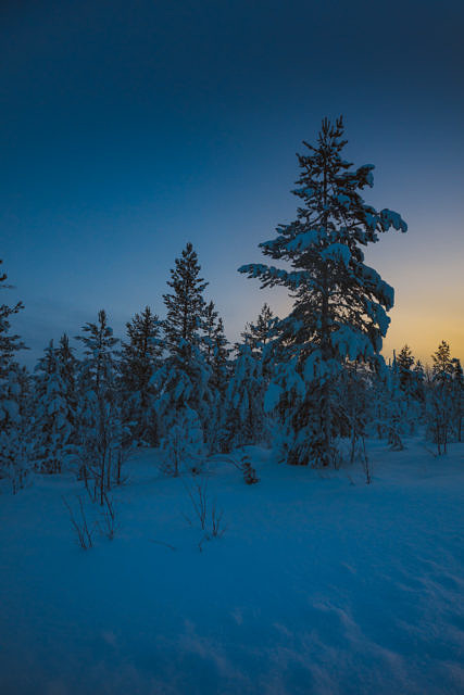 Finland in winter