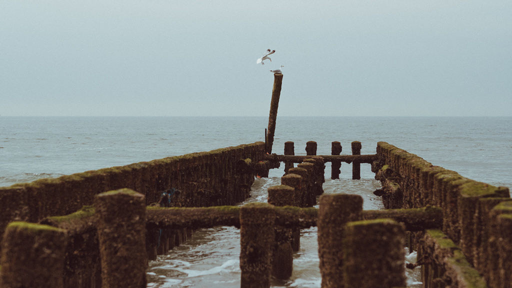 Small road trip Zuid-Beveland and Walcheren