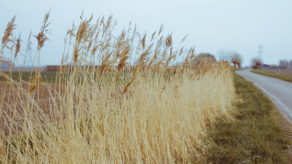 Small road trip Zuid-Beveland and Walcheren