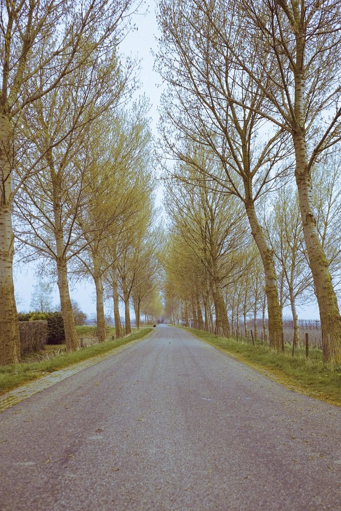 Small road trip Zuid-Beveland and Walcheren