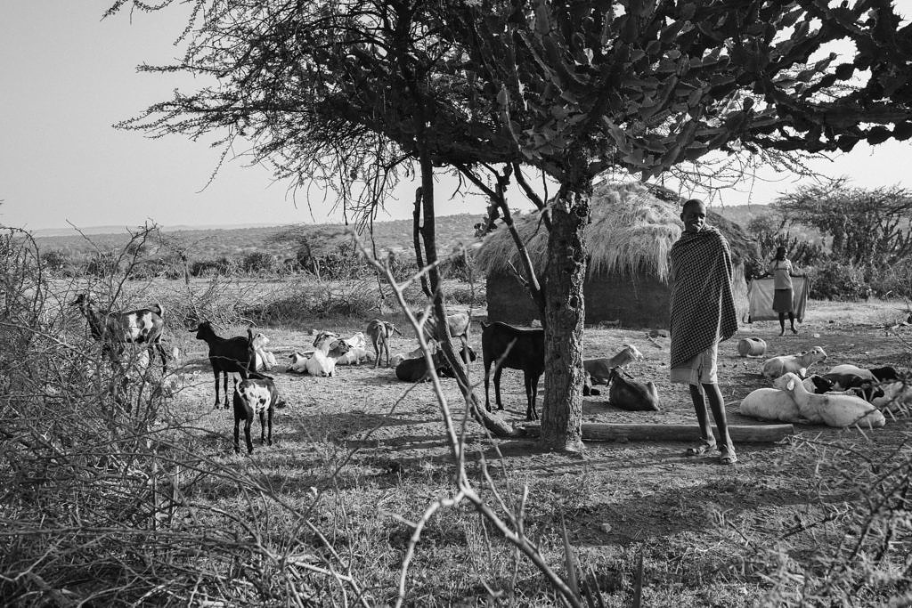 Kenya - Lewasso, the Masai