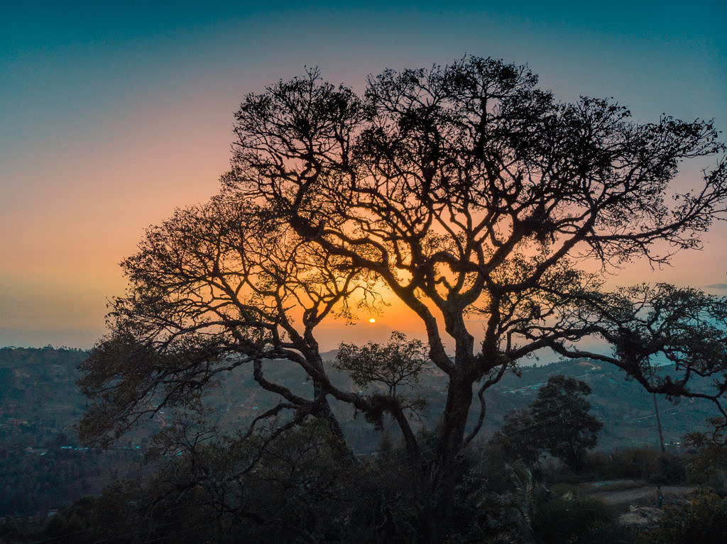 Taita Hills
