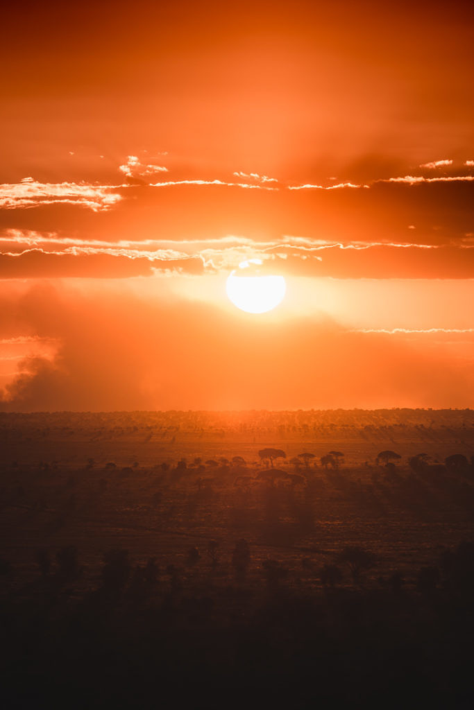 Lumo - Tsavo west