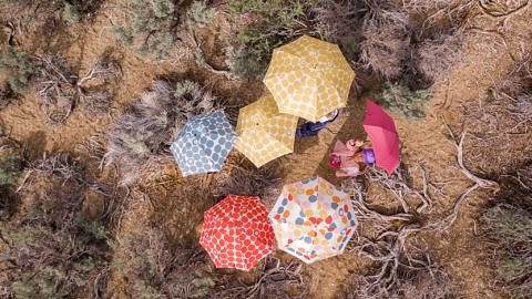 Joycorn product video