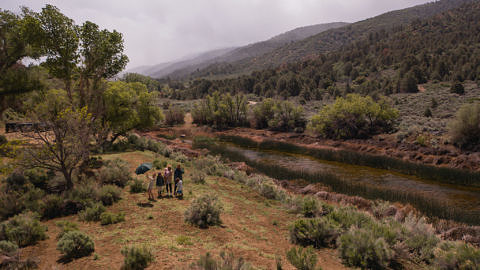 Unicare product video