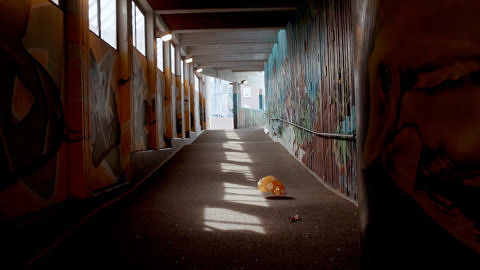 Arnhem Clean Up Litterati (camera)