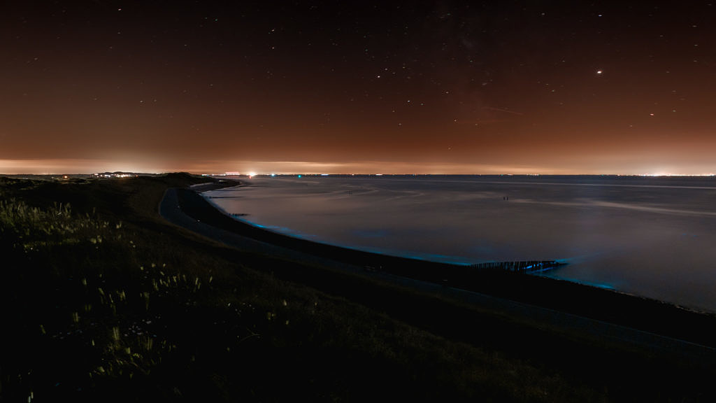 Sea sparkle - Noctiluca scintillans in Westkapelle