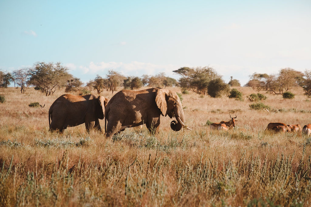 Kenya